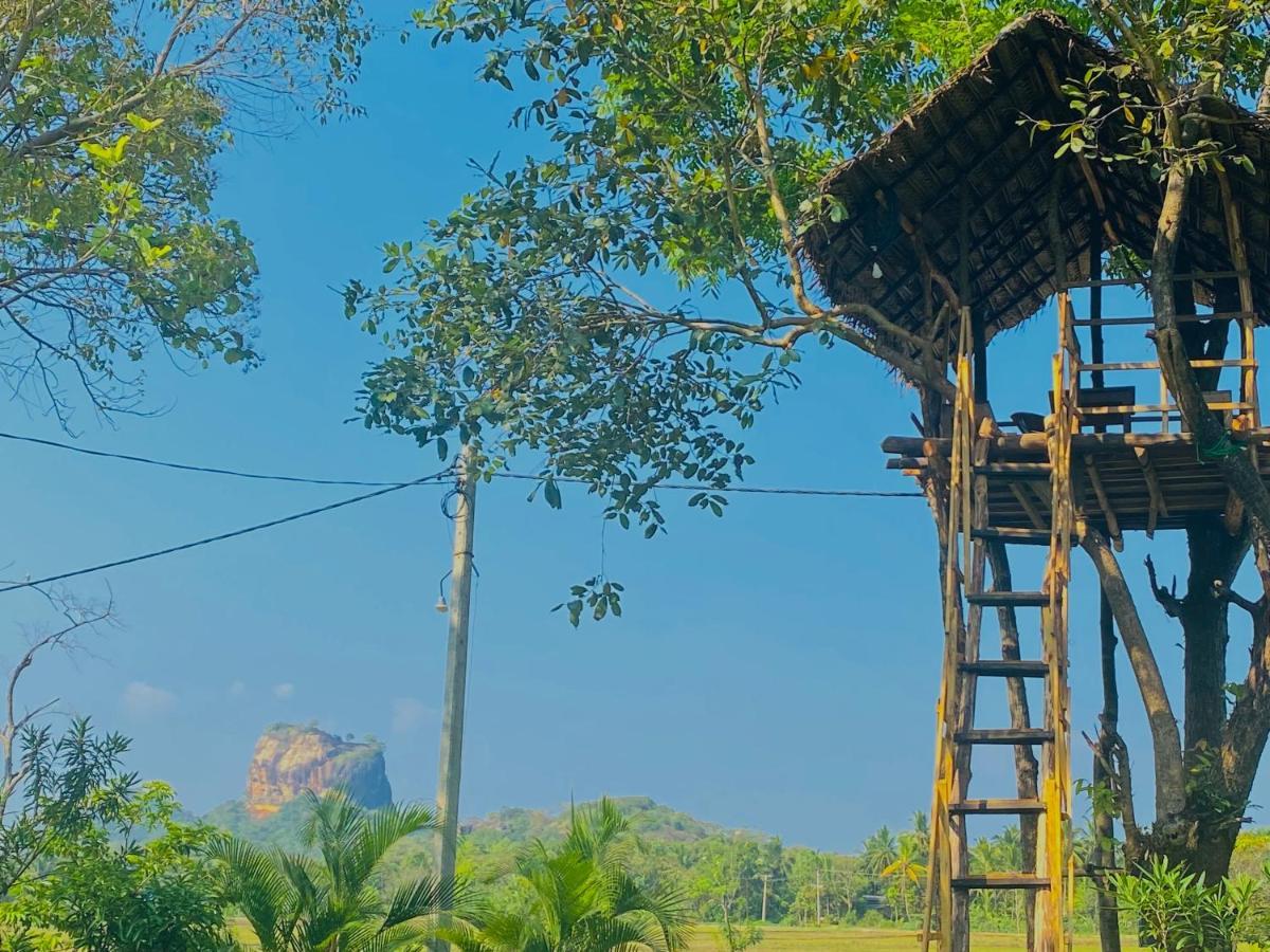 Sigiri Lucky View Villa Sigiriya Exteriör bild