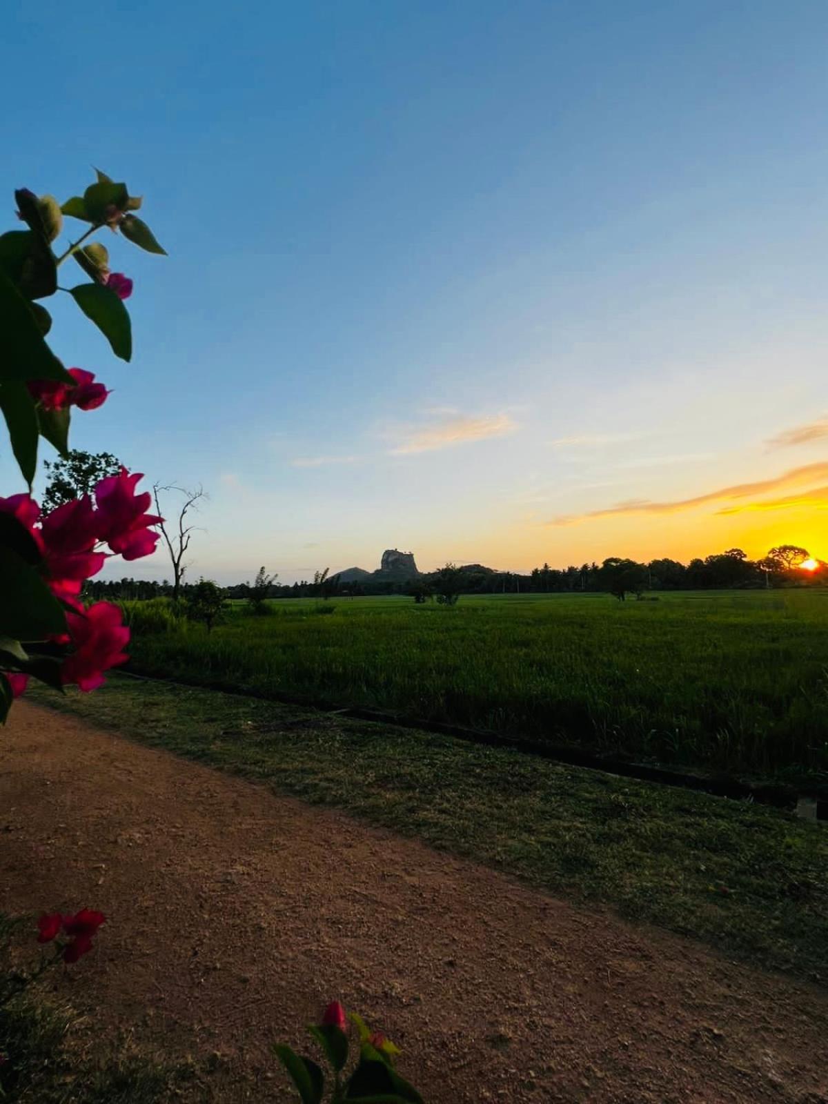 Sigiri Lucky View Villa Sigiriya Exteriör bild